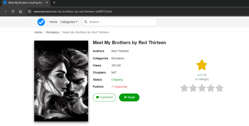 Meet My Brothers novel by Red Thirteen