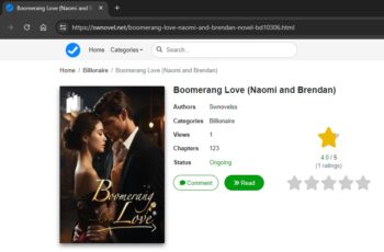 Boomerang Love novel (Naomi Goodwin and Brendan) read online