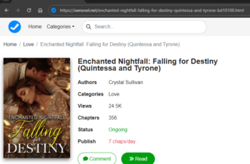 Enchanted Nightfall: Falling for Destiny novel (Quintessa and Tyrone)
