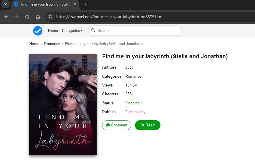 Find me in your labyrinth novel (Stella and Jonathan)