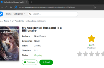 My Accidental Husband is a Billionaire novel (Keira Olsen and Lewis Horton)